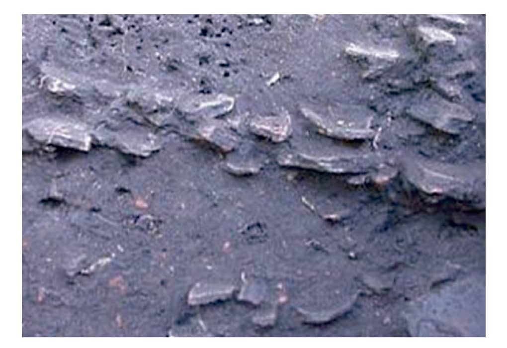 Mani che tengono terra preta, suolo nero e fertile dell'Amazzonia