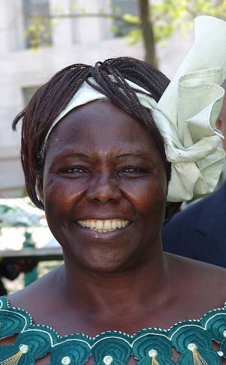 Ritratto di Wangari Maathai, attivista ambientale e premio Nobel per la Pace