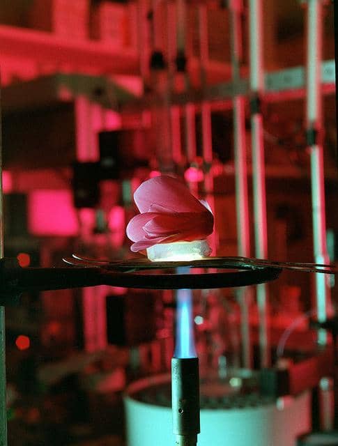 Blocco di aerogel che protegge dei fiammiferi o oggetti dal calore di una fiamma
