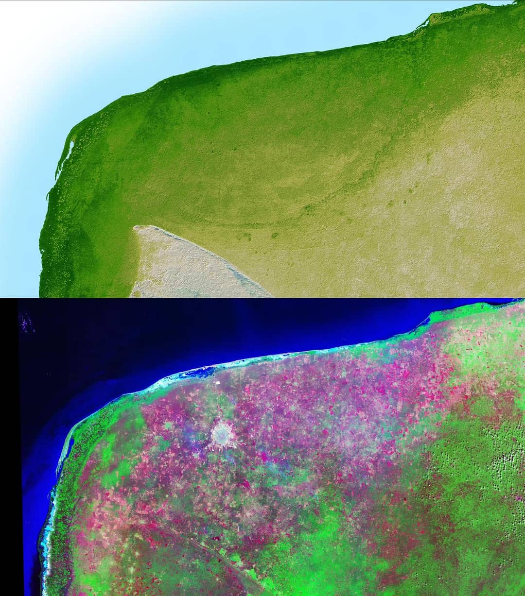 Modello digitale dello Yucatán con la cicatrice semicircolare del cratere di Chicxulub al margine costiero
