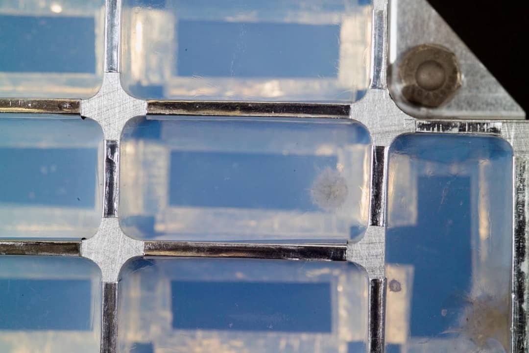Traccia a forma di carota lasciata da una particella di cometa conficcata nell'aerogel
