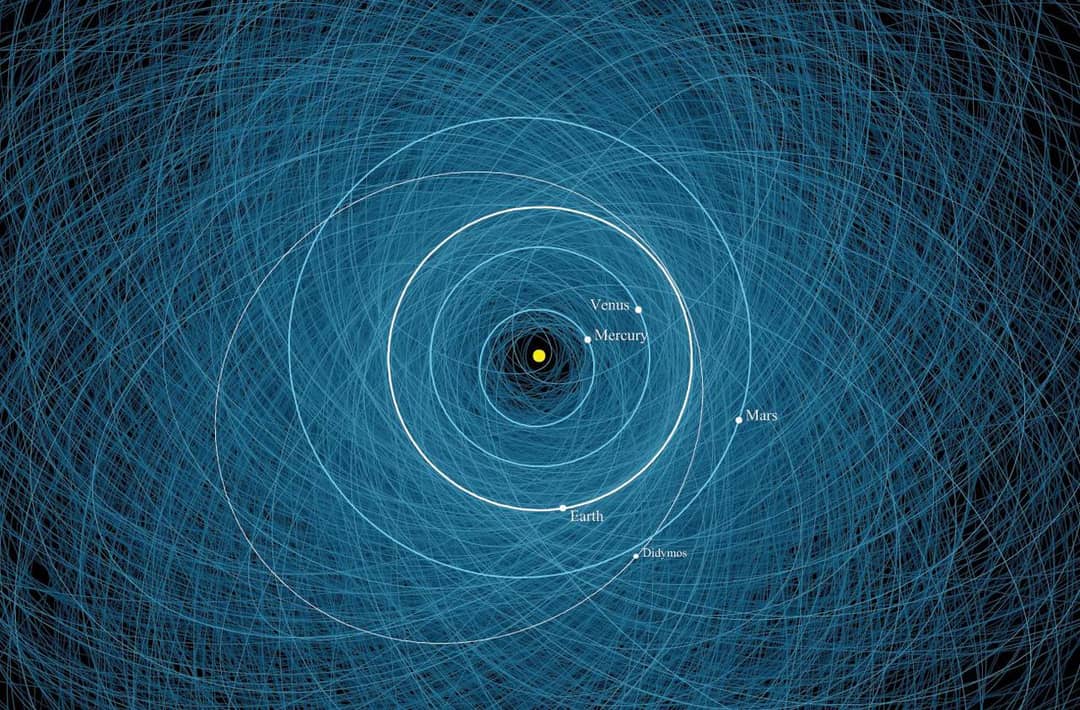 Orbita dell'asteroide Didymos rappresentata in scala con altri NEO
