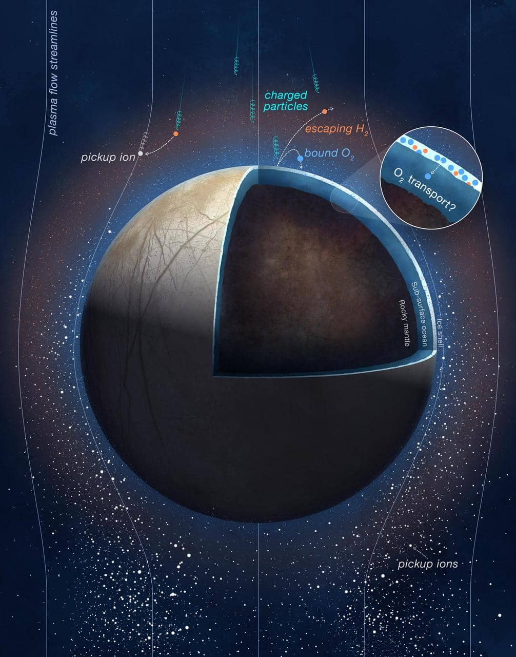 Illustrazione che mostra la struttura interna di Europa con l'oceano sotto la crosta ghiacciata