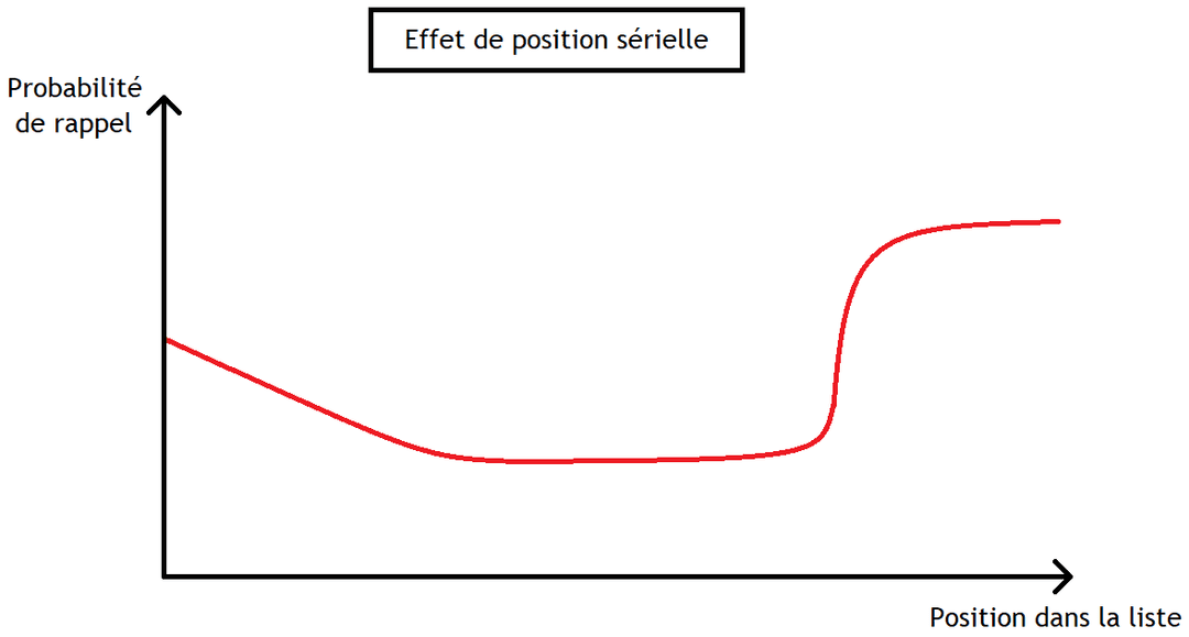 Grafico della curva a U dell'effetto posizione seriale con primacy e recency