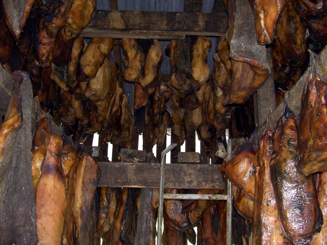Cubetti di hákarl, la carne fermentata di squalo della Groenlandia, appesi ad essiccare in Islanda
