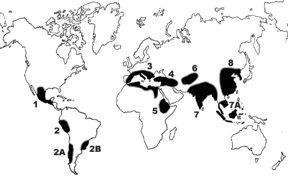 Mappa dei centri di origine delle piante coltivate secondo Nikolai Vavilov