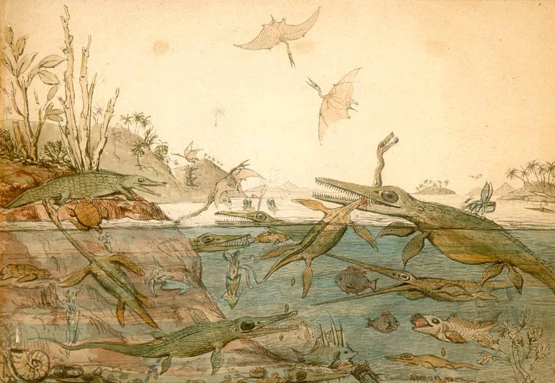 Duria Antiquior, acquerello che ricostruisce la vita preistorica basandosi sui fossili di Mary Anning