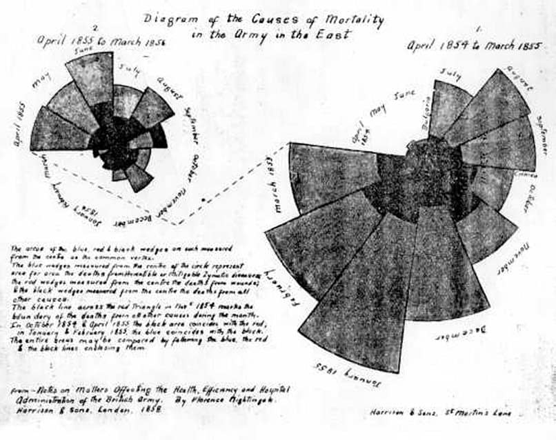 Versione del diagramma coxcomb di Florence Nightingale