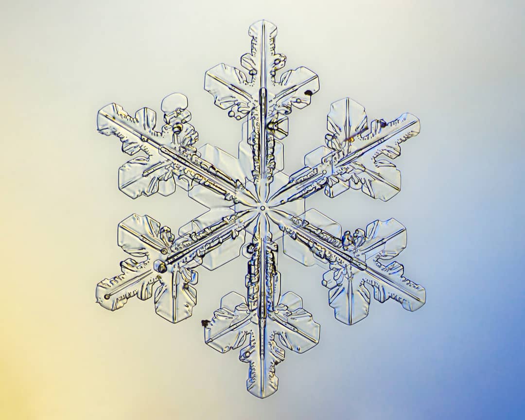 Singolo fiocco di neve con struttura a sei bracci ramificati