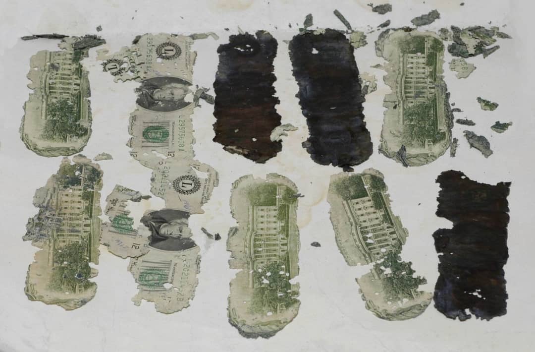 Banconote del riscatto di DB Cooper ritrovate sulle rive del fiume Columbia nel 1980