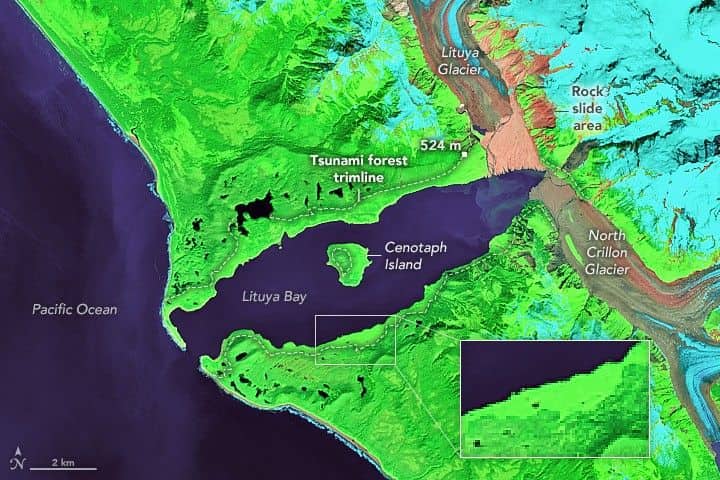 Immagine satellitare Landsat 8 di Lituya Bay con la zona di vegetazione strappata dal megatsunami del 1958