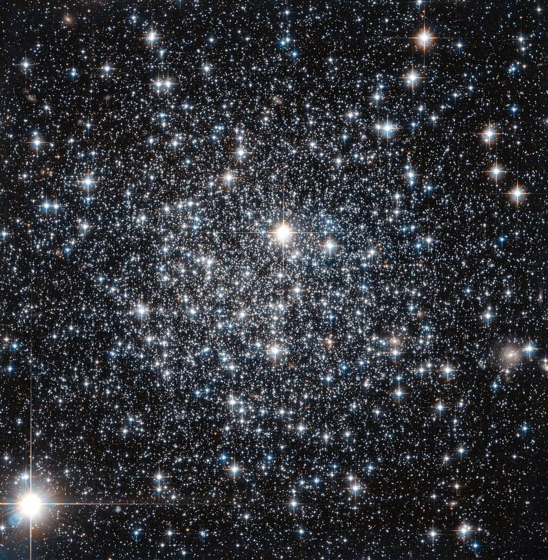 Stelle antiche di un ammasso globulare osservate dal telescopio Hubble