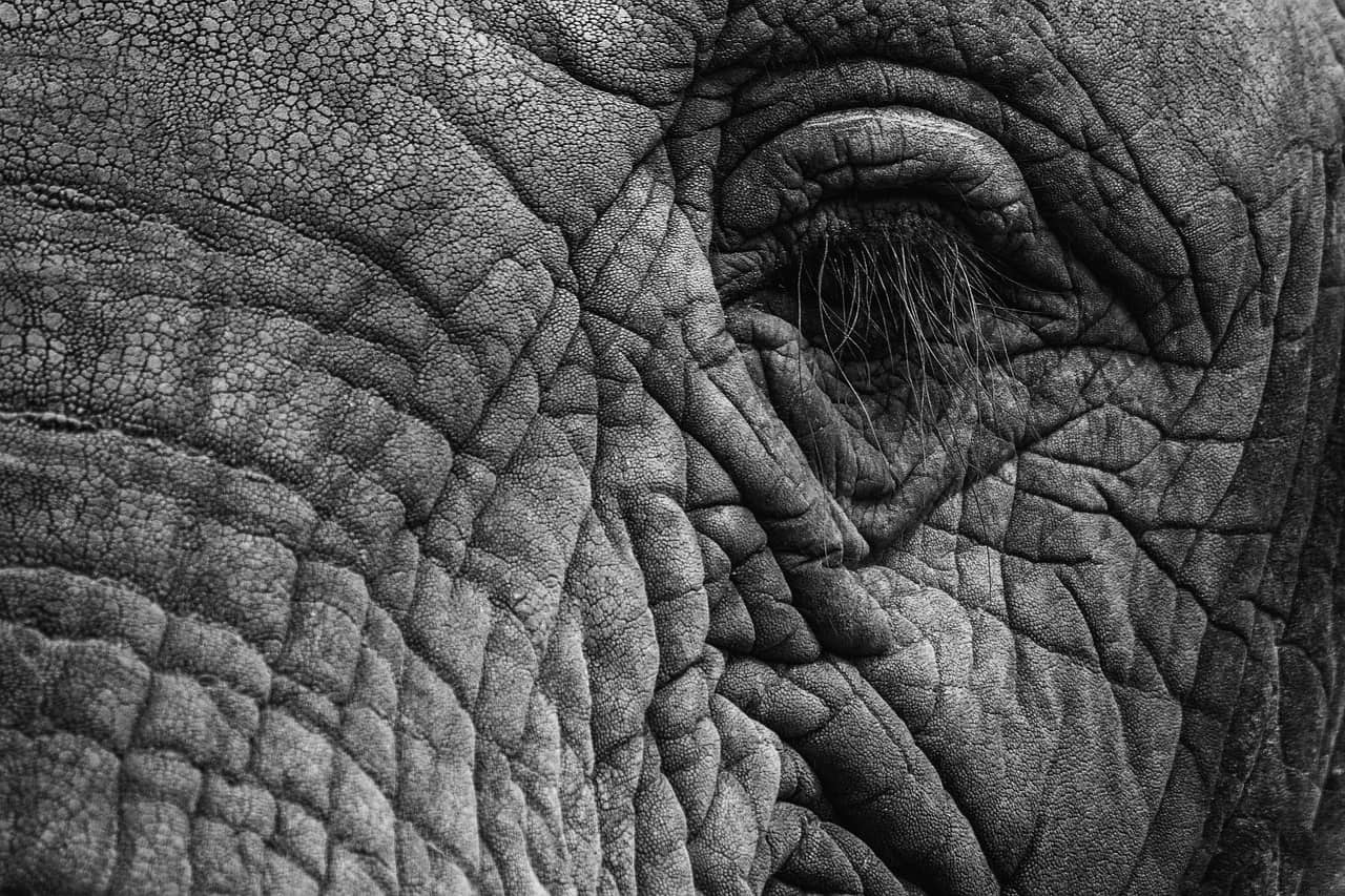 Persona che si gratta l'avambraccio, immagine simbolo del prurito
