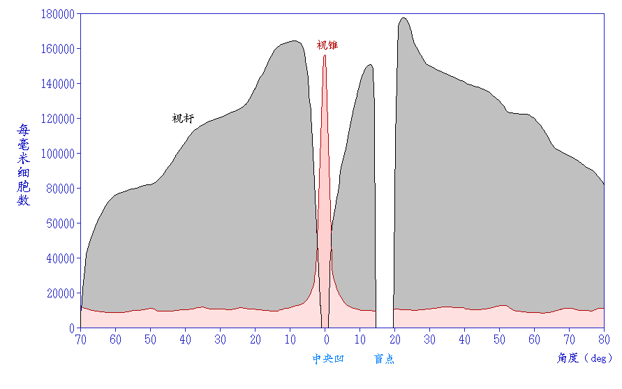Diagramma dei coni S, M ed L della retina e delle loro curve di sensibilita