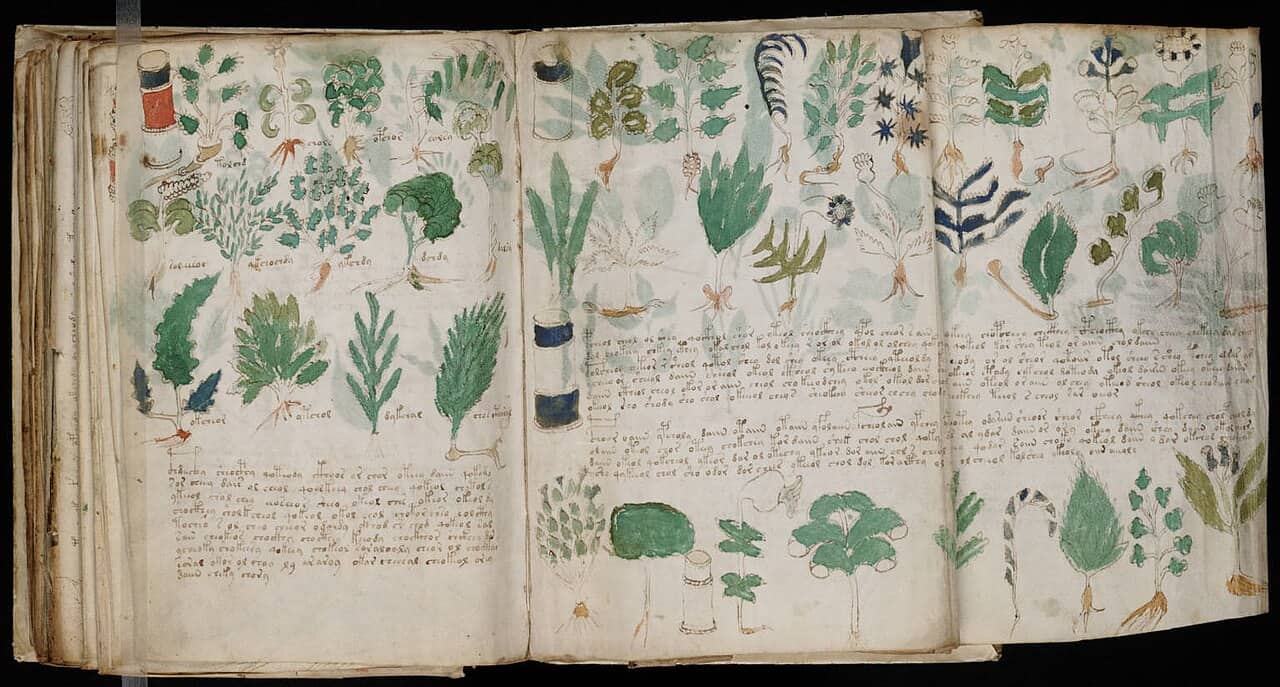 Doppia pagina del manoscritto di Voynich con diagrammi circolari e scrittura sconosciuta