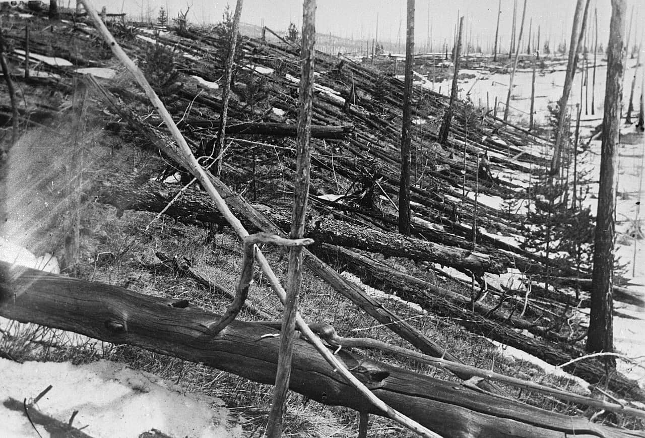 Alberi abbattuti e privi di rami stesi a terra nella taiga siberiana dopo l'evento di Tunguska